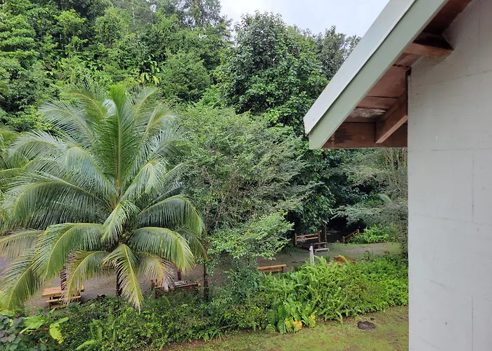 Sabifi River Resort